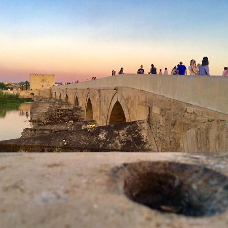 Ribera Del Quivir Apartment Kordoba Bagian luar foto