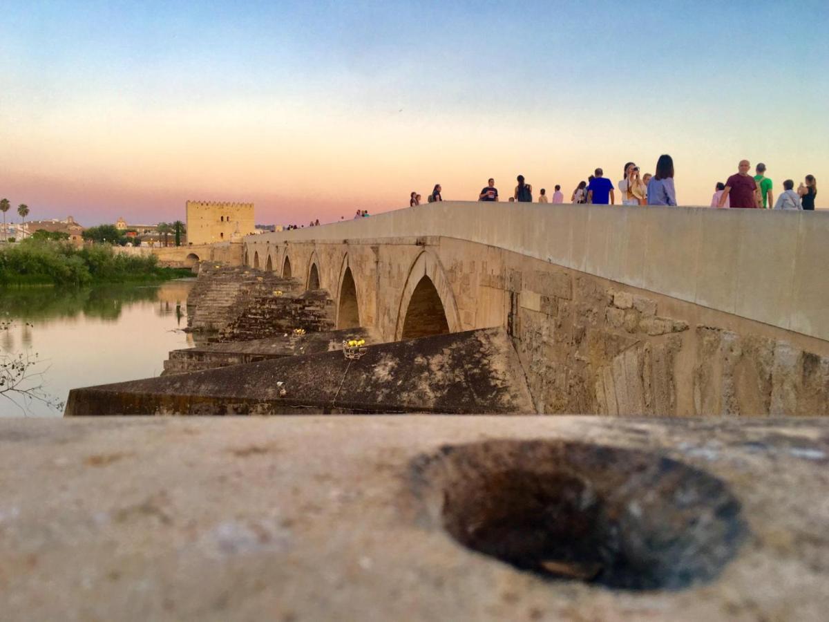 Ribera Del Quivir Apartment Kordoba Bagian luar foto