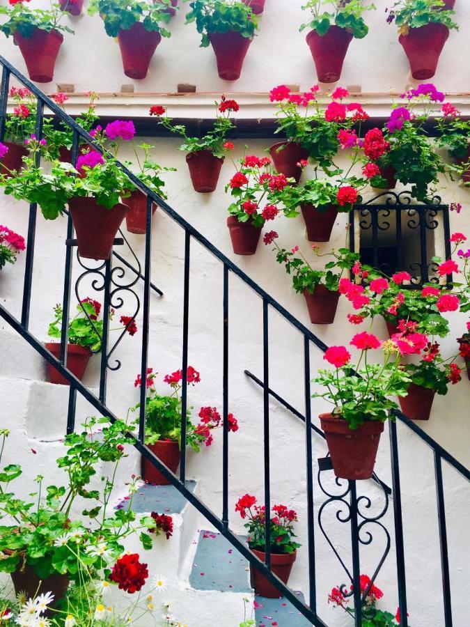 Ribera Del Quivir Apartment Kordoba Bagian luar foto